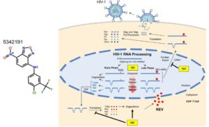 New Perspective on Antiretroviral Treatments: Restricting HIV-1 Replication by Targeting Intracellular Signaling Pathways